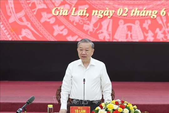 Đưa tỉnh Gia Lai (mới) trở thành một cực tăng trưởng quan trọng ở Trung - Trung Bộ