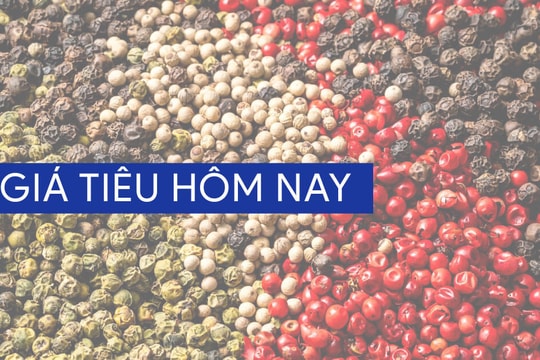 Giá tiêu giảm mạnh trong tháng 5 do bất ổn thuế quan Mỹ