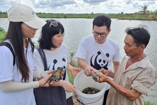 Tổng kết dự án nâng cao năng lực thích ứng biến đổi khí hậu tại Bạc Liêu