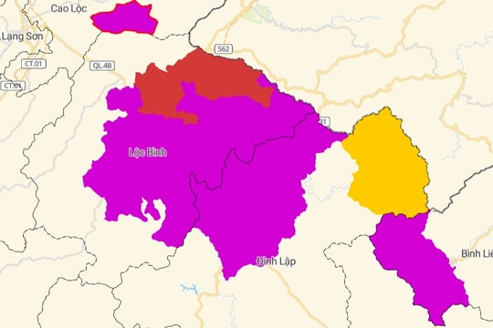 Lạng Sơn: 11 địa phương được cảnh báo thiên tai do mưa to