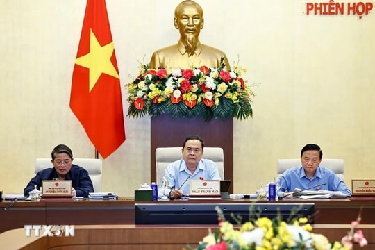 Chống hàng giả, hàng nhái: Quốc hội yêu cầu luật hóa trách nhiệm đến cùng