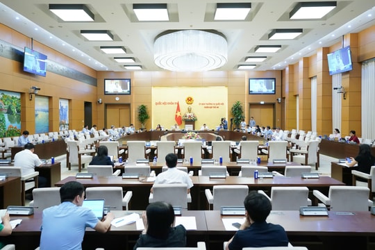 Không áp dụng thuế suất ưu đãi với công ty con để tránh trục lợi chính sách