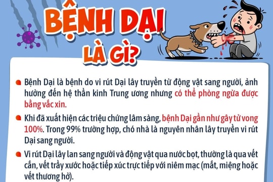 Những thông tin cha mẹ cần biết về bệnh dại để bảo vệ con