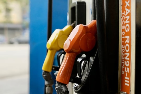 Giá xăng dầu hôm nay 7/6/2025: Giá dầu hướng tới tuần hồi phục nhờ đàm phán thương mại