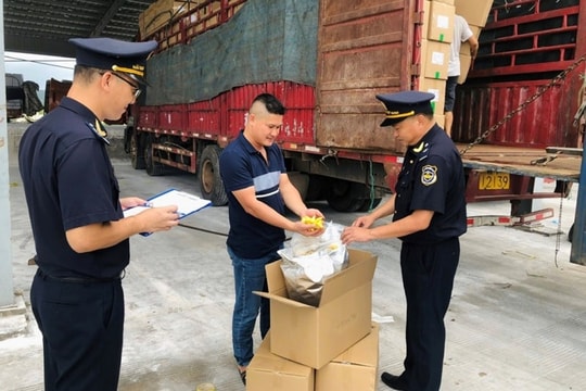 Lực lượng Hải quan phát hiện, xử lý 1.247 vụ buôn lậu và gian lận thương mại