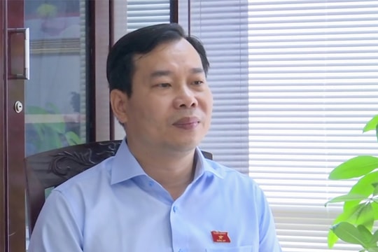 Cần có sự phân hóa rõ ràng hơn về mức hình phạt, bảo đảm tính công bằng