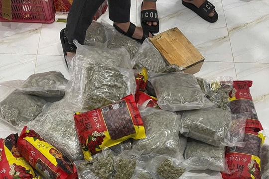 Phá đường dây ma túy liên tỉnh, thu giữ hơn 200kg cần sa