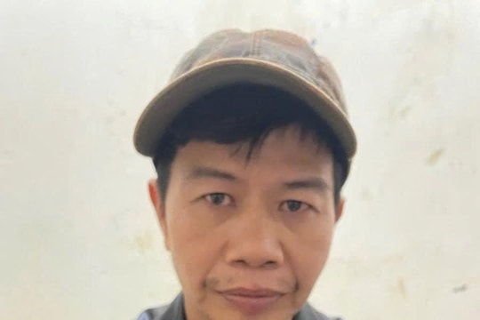 Gia Lai: Bắt giữ đối tượng truy nã làm giả hồ sơ để hợp thức hóa gỗ lậu