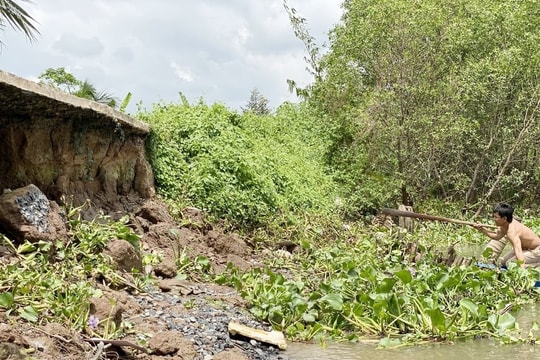 Vĩnh Long: 39 điểm sạt lở, ước thiệt hại trên 2,1 tỷ đồng
