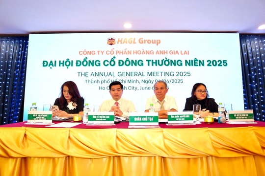 Thaigroup và LPBS rút lui khỏi HAGL: Cuộc chơi quyền lực đang dịch chuyển về tay ai?