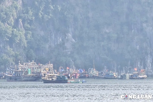 Gần 1.600 ngư dân vẫn trên biển, yêu cầu khẩn trương đưa tàu về bờ