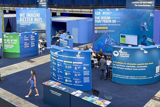 Các nhà lãnh đạo thế giới hội tụ tại Nice để giải quyết khủng hoảng đại dương