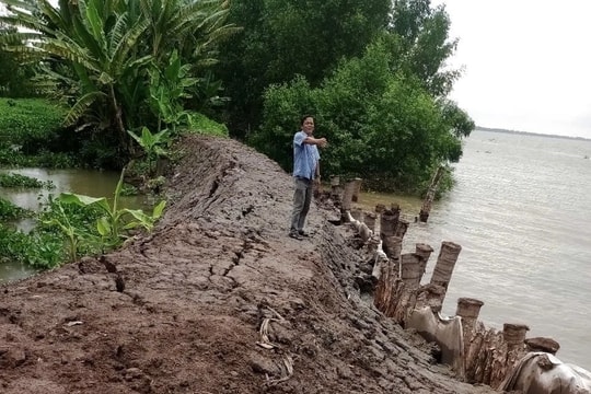 Trà Vinh: Huyện Cầu Kè đề xuất đầu tư 2.700 tỷ đồng xử lý sạt lở