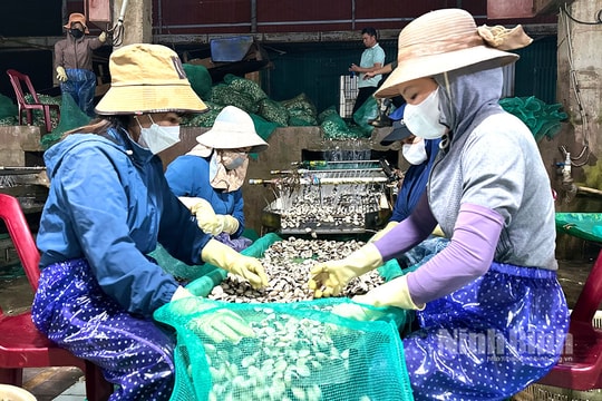 Mở đợt cao điểm toàn quốc chống buôn lậu, gian lận thương mại trong ngành thủy sản