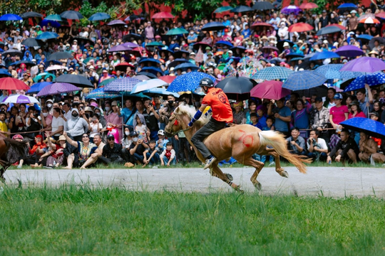 Giải đua ngựa Bắc Hà: 32 'kỵ mã nông dân' khuấy động cao nguyên trắng