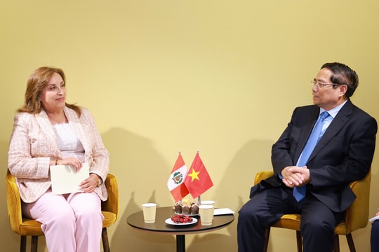 Thủ tướng Phạm Minh Chính hội kiến Tổng thống Peru, gặp Thủ tướng Quần đảo Solomon và Tổng thống Palau