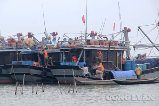 Gần 68.000 tàu thuyền, hơn 280.000 lao động được hướng dẫn tránh bão Bualoi