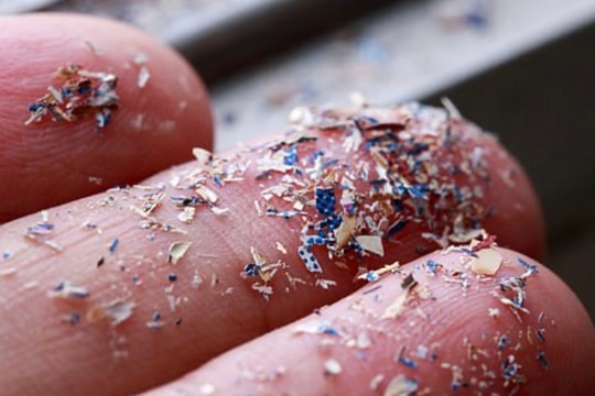 Các ngân hàng cam kết chi 3 tỷ euro giải quyết ô nhiễm nhựa đại dương