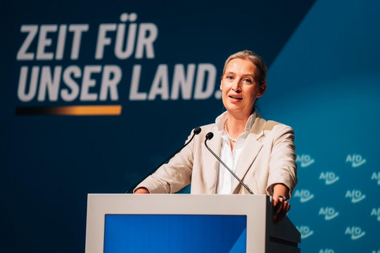 Tình báo Đức tiếp tục theo dõi đảng cực hữu AfD