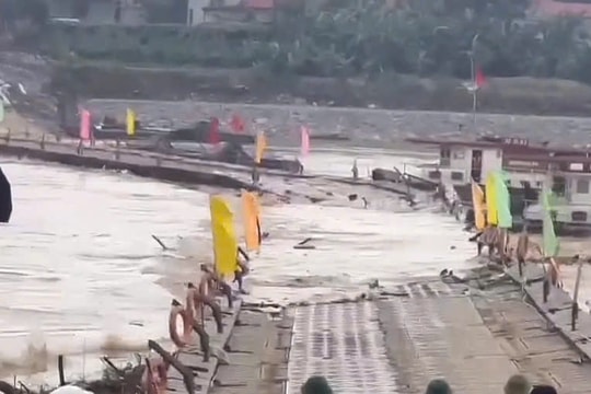 Khẩn cấp cắt cầu phao Phong Châu do dòng chảy mạnh