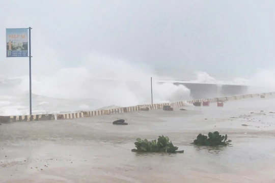 Hơn 100 du khách mắc kẹt ở Lý Sơn do ảnh hưởng của bão số 1