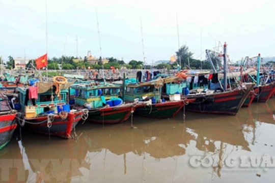Đà Nẵng, Quảng Ngãi, Gia Lai được yêu cầu kêu gọi khẩn cấp ngư dân vào bờ tránh trú