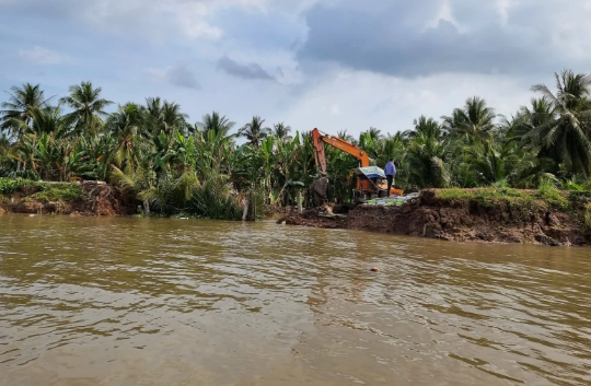 Trà Vinh: Sạt lở khẩn cấp trên cồn Hô giữa sông Cổ Chiên