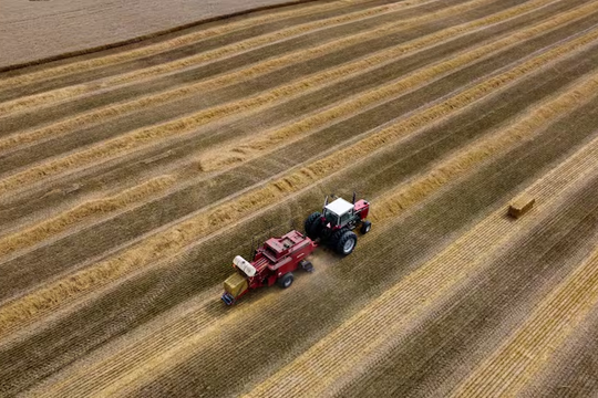 ‏EU siết thuế nông sản Nga và Belarus‏