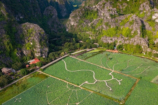 Ninh Bình: Đến Hang Múa ngắm sen bung lụa giữa trời hạ