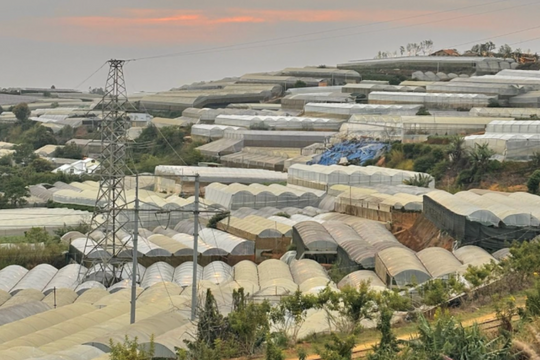 Lâm Đồng định vị lại vai trò để bứt phá việc tăng trưởng du lịch mới