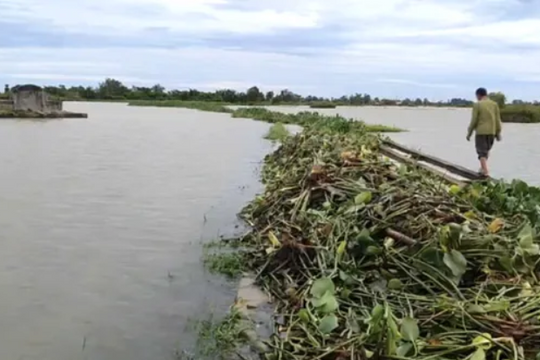 Quảng Trị: Người đàn ông tử vong khi đi tìm vịt giữa đồng ngập nước