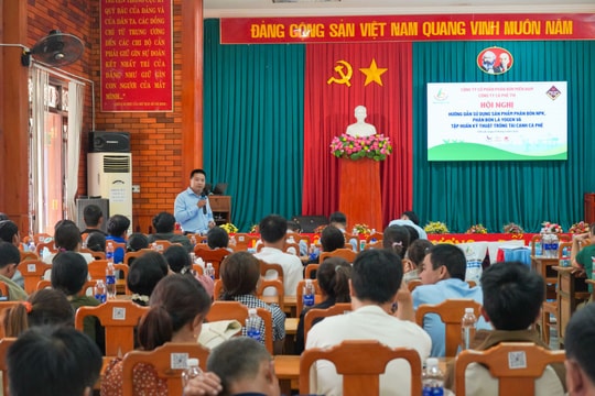 Giải pháp tái canh cà phê, bứt phá năng suất lúa từ Phân bón Miền Nam