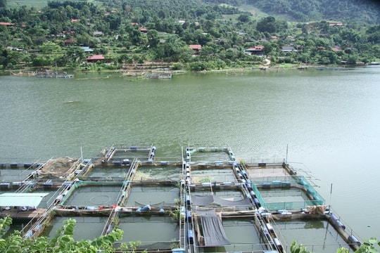 Sơn La: Chủ động ứng phó với diễn biến bất thường mực nước hồ Hòa Bình