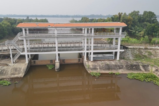 Long An đối mặt đợt xâm nhập mặn cao điểm nửa cuối tháng 4/2025