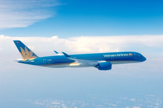 Vietnam Airlines chuyển hướng hạ cánh khẩn để cấp cứu hành khách gặp vấn đề sức khỏe