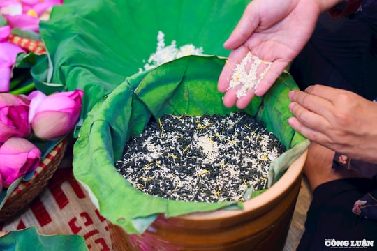 Độc đáo quy trình ướp trà sen đắt đỏ tại Hà Nội