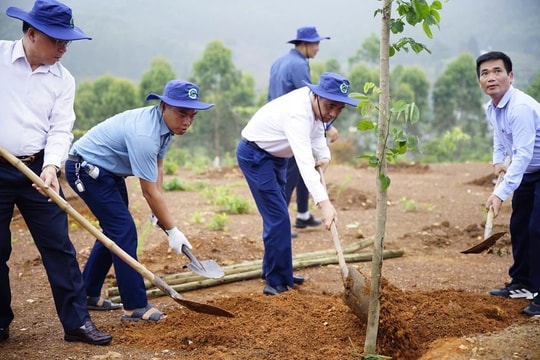 Cục Lâm nghiệp và Kiểm lâm trao 3.000 cây giống cho tỉnh Vĩnh Phúc