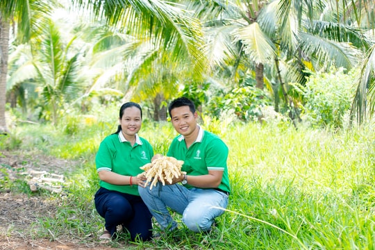Sokfarm và hành trình “gieo mật” từ hoa dừa: Khởi nghiệp xanh bắt đầu từ điều gần gũi nhất