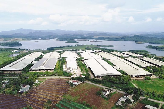 Ngành Nông nghiệp và Môi trường Nghệ An 2025: Nỗ lực bứt phá, vững vàng vượt kế hoạch