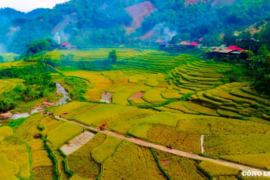 Ngắm những cánh đồng lúa chín vàng ở Pù Luông, Thanh Hóa
