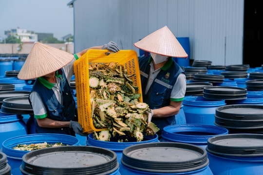 Startup Việt biến rác thải thành vàng: Bí mật từ vỏ dứa