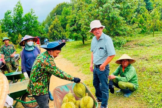 Bầu Đức tuyển gấp 100 kỹ thuật viên sầu riêng, thưởng không giới hạn cho người giới thiệu