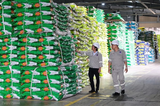 PVFCCo - Phú Mỹ và bước chuyển mình trong kinh doanh