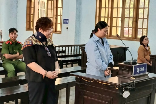 Gia Lai: Tham ô hơn 4 tỷ tiền phòng chống dịch Covid-19, nữ kế toán lãnh án 20 năm tù
