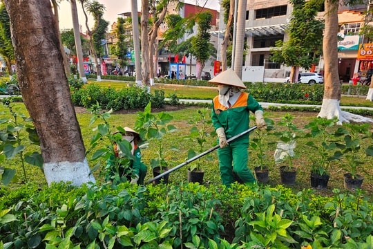 Vững bước theo lời Bác, kiến tạo tương lai xanh