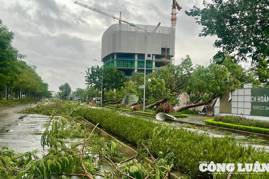 Hà Nội: Khuyến cáo bảo đảm an toàn trong mùa mưa bão