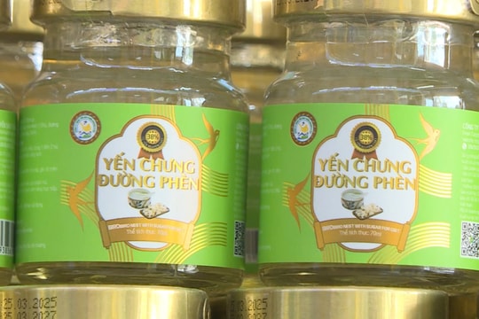 Yến sào Tuấn Dương sản xuất hàng giả, chuyền hồ sơ sang cơ quan điều tra