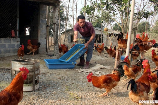 Từ chính sách đến thực tiễn: Nam Định nâng tầm nông sản bằng công nghệ cao