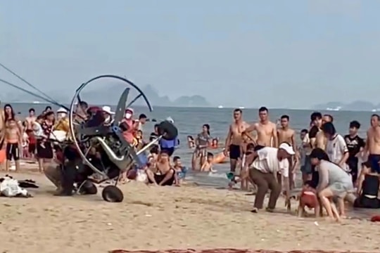 Xử phạt công ty tổ chức dù lượn sau sự cố va chạm du khách tại Bãi Cháy