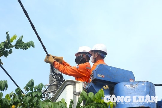 Điện lực Hải Phòng quyết tâm đột phá chuyển đổi số, hiện đại hóa lưới điện